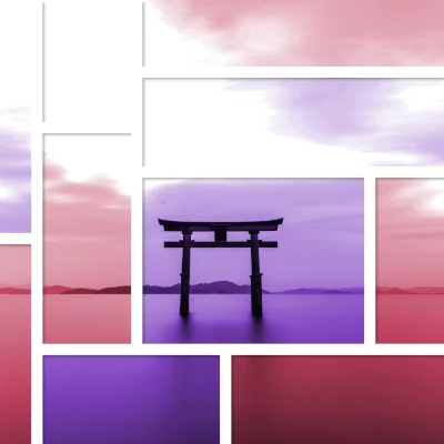 Duotone Japanese Torr purple pink