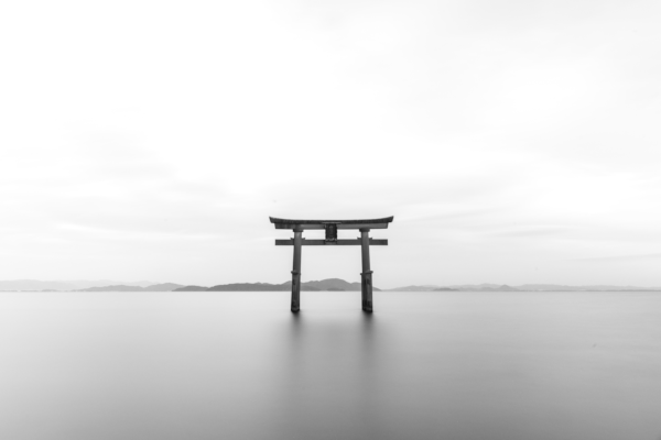 duotone Japan Torii poster